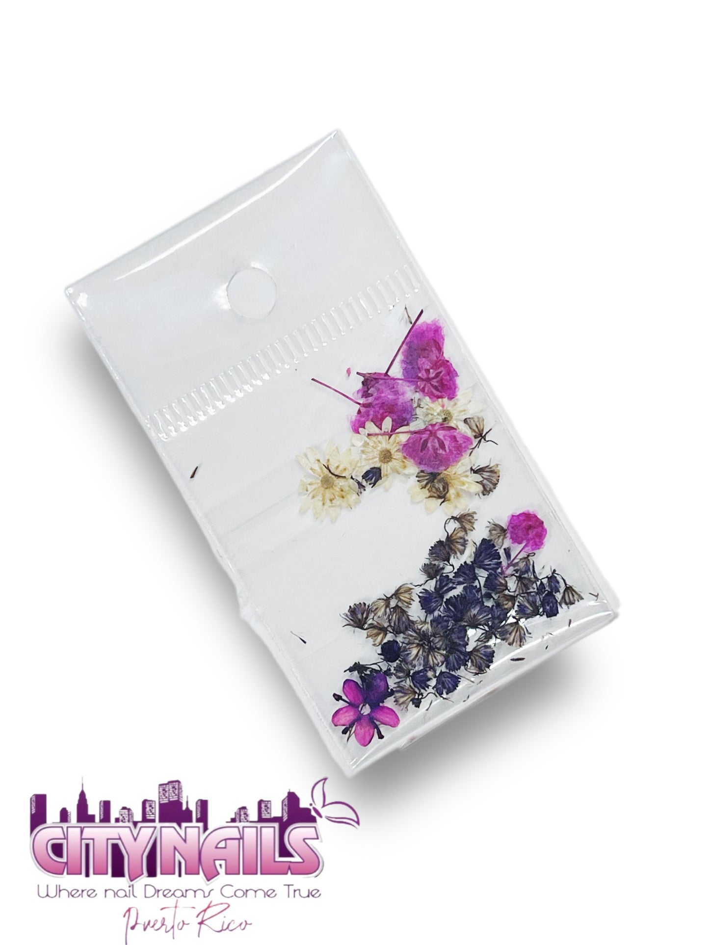 Small Dried Flowers: #12