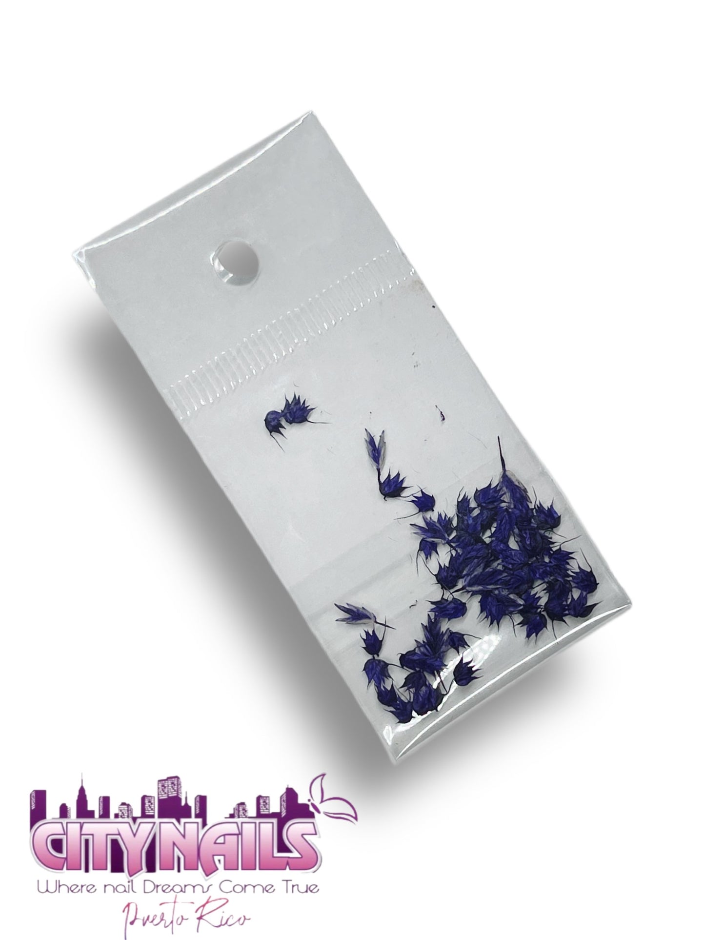 Small Dried Flowers: #17