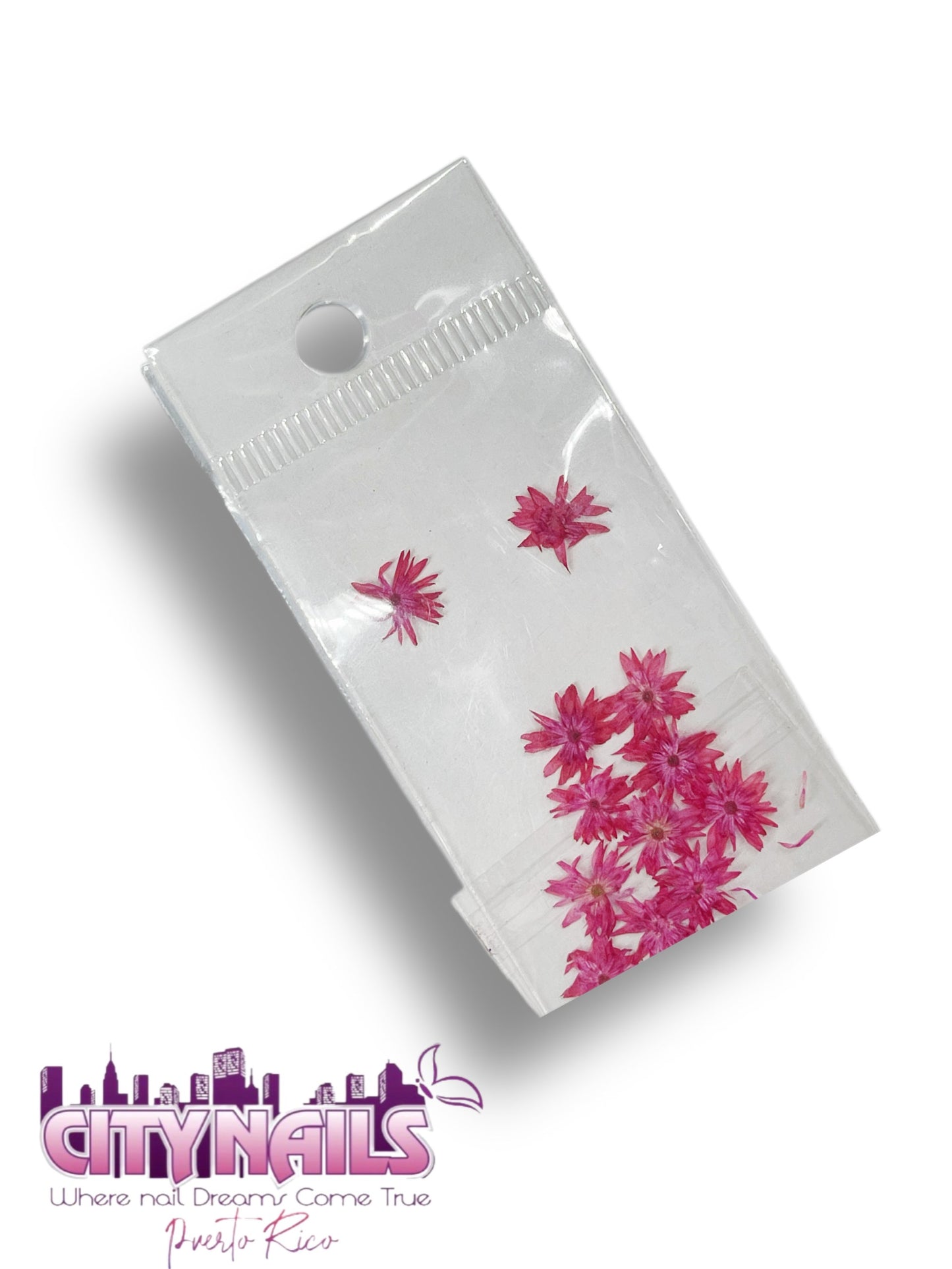 Small Dried Flowers: #29