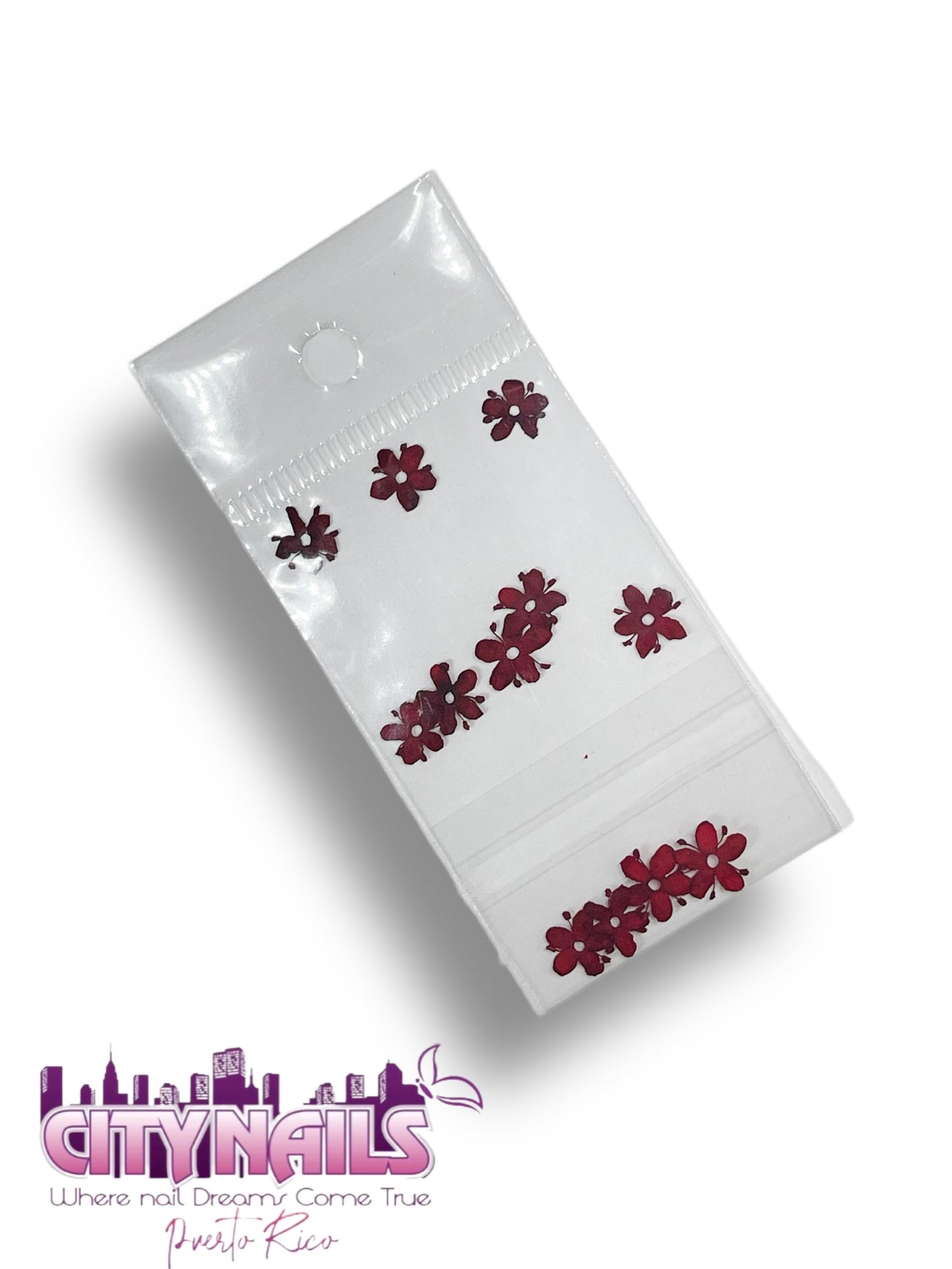 Small Dried Flowers: #41