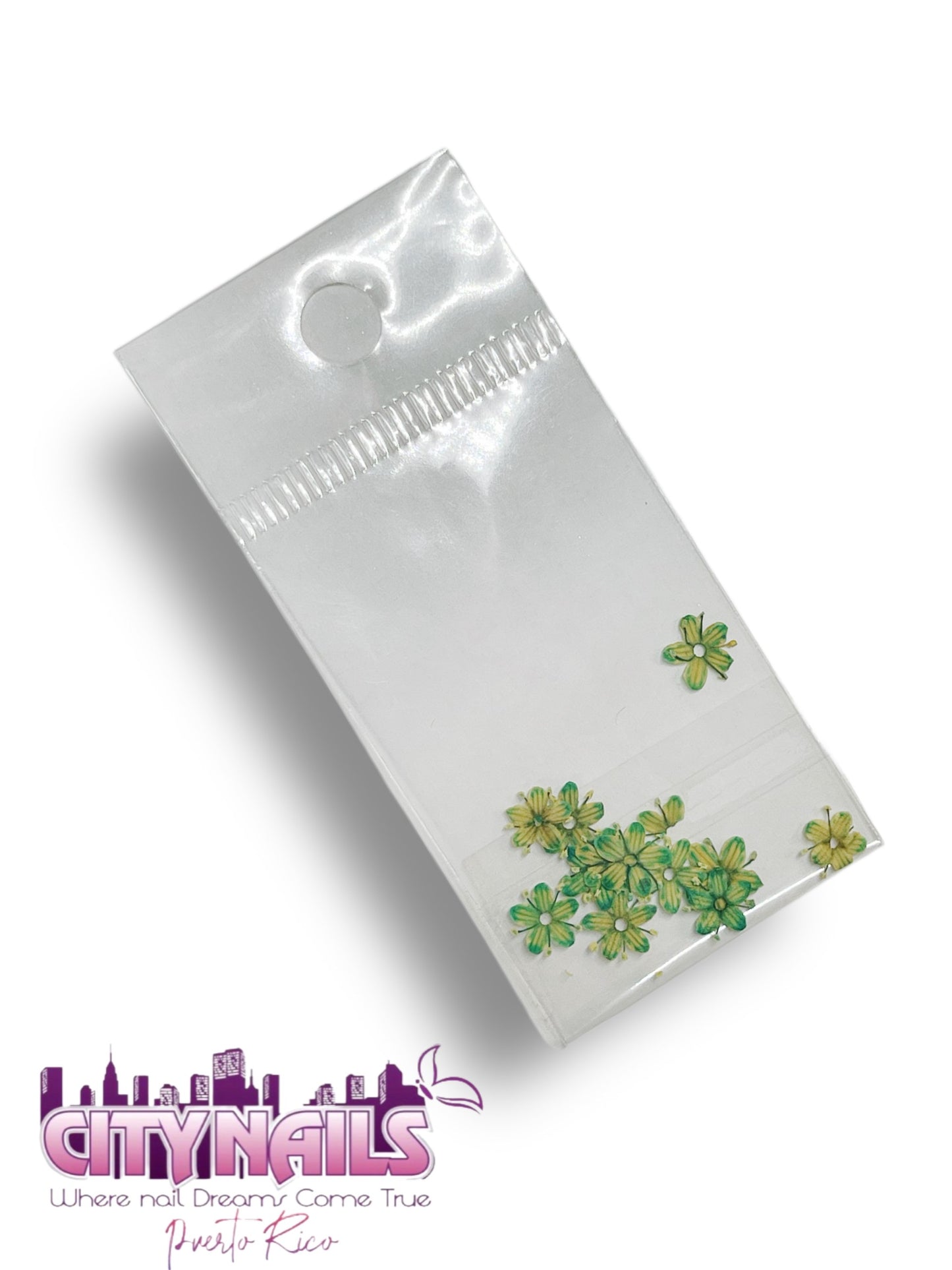 Small Dried Flowers: #43