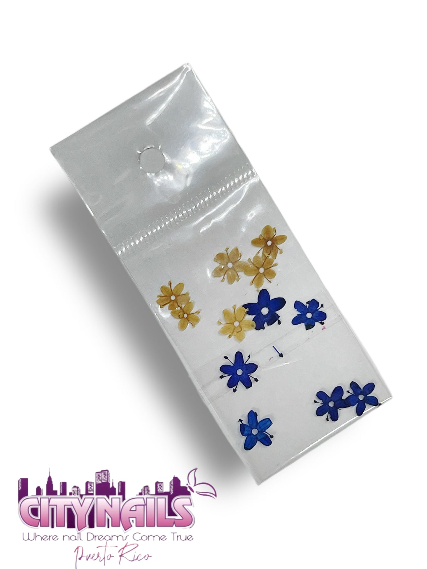 Small Dried Flowers: #45