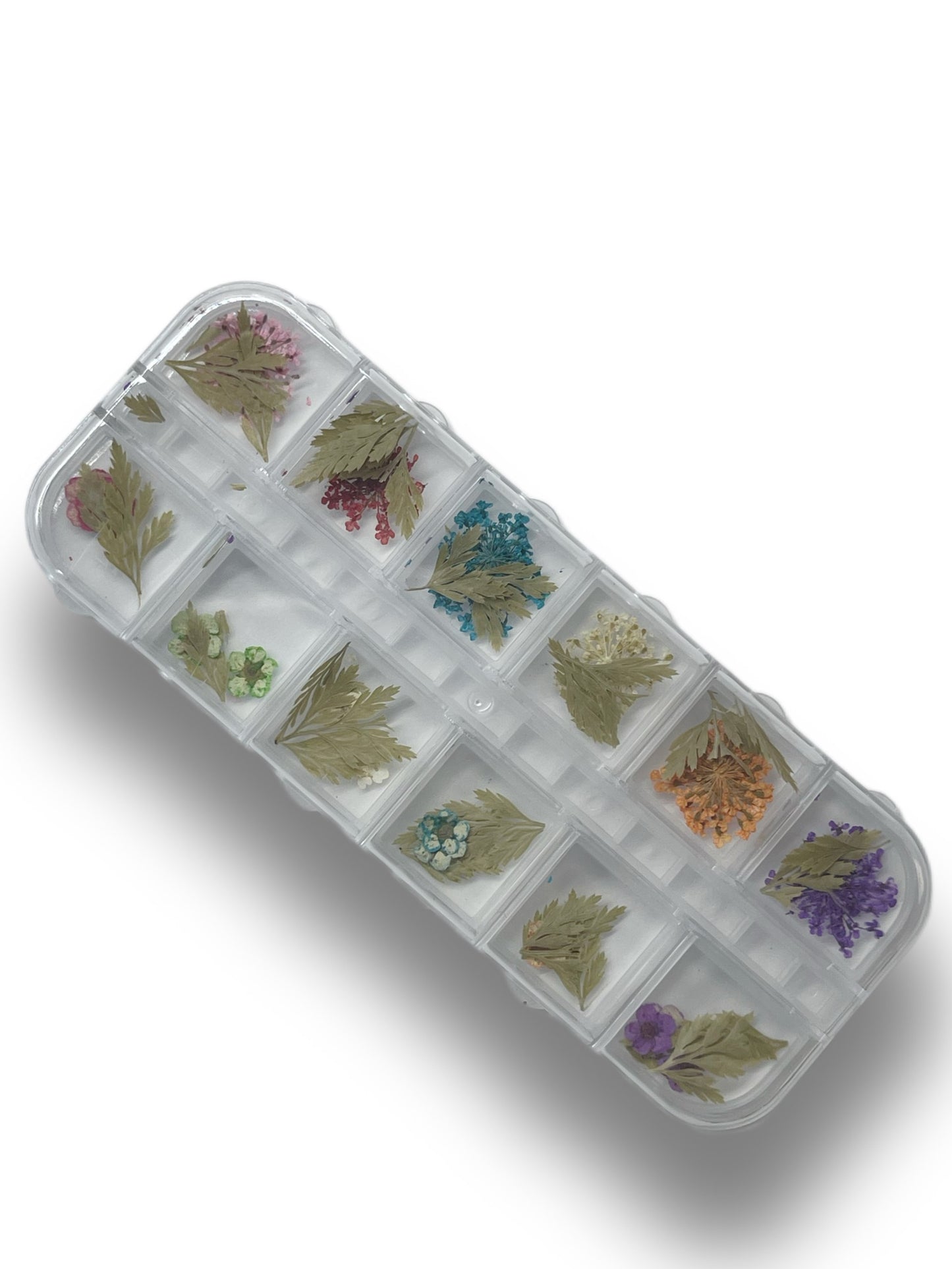 Boxed Decorations: Dried Flowers & Leaves