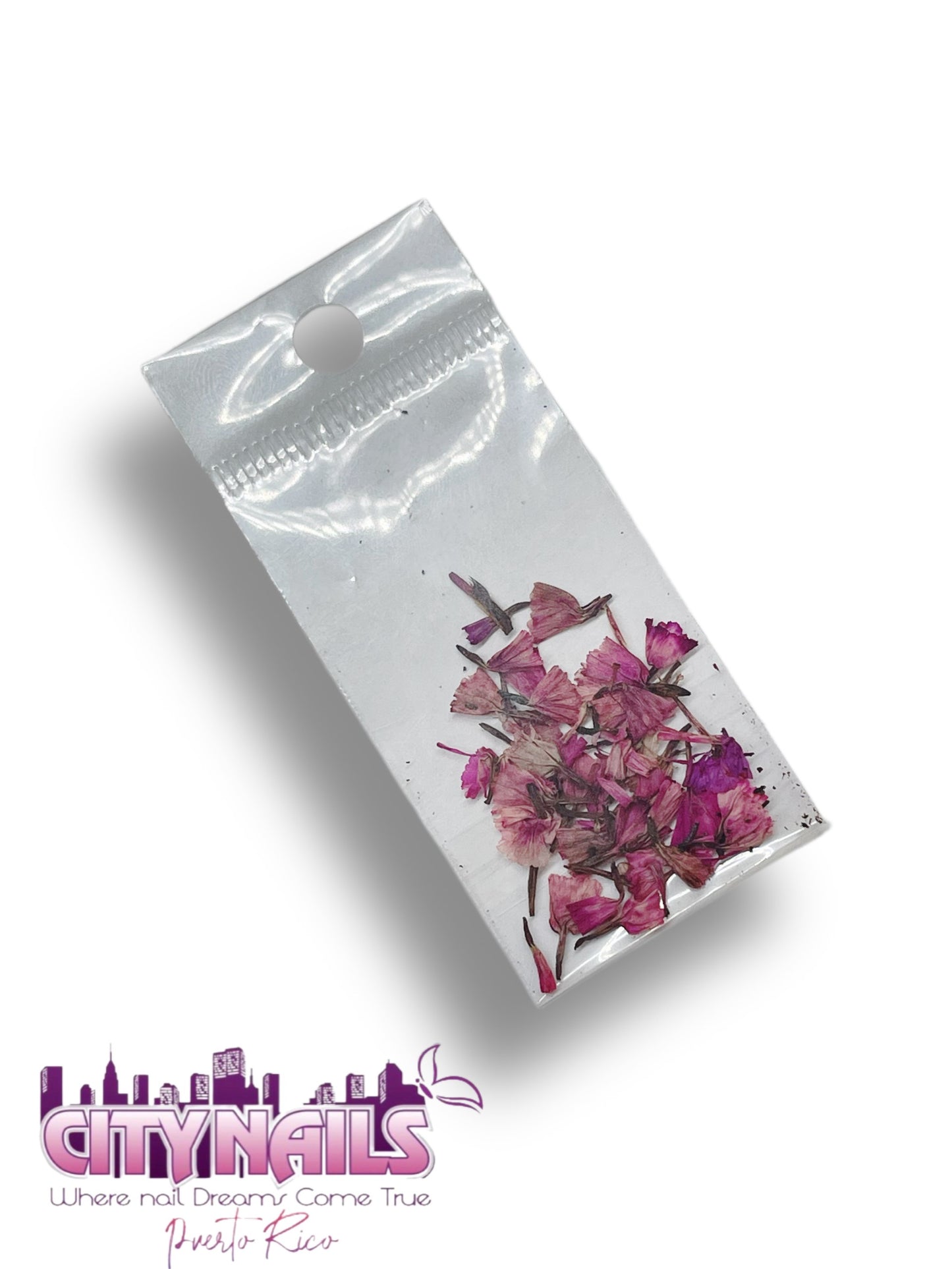 Small Dried Flowers: #1