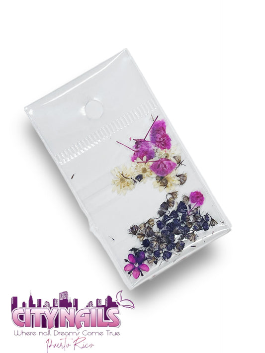 Small Dried Flowers: #12