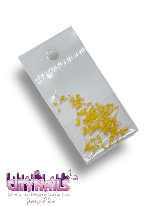 Small Dried Flowers: #14