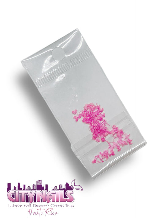 Small Dried Flowers: #15