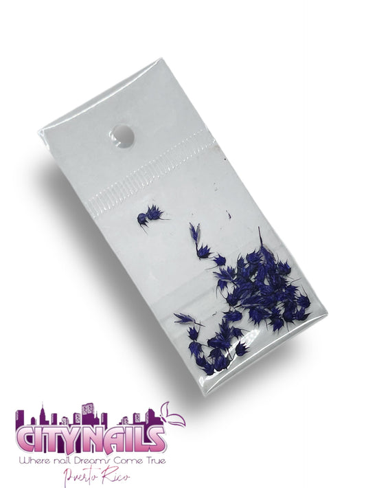 Small Dried Flowers: #17