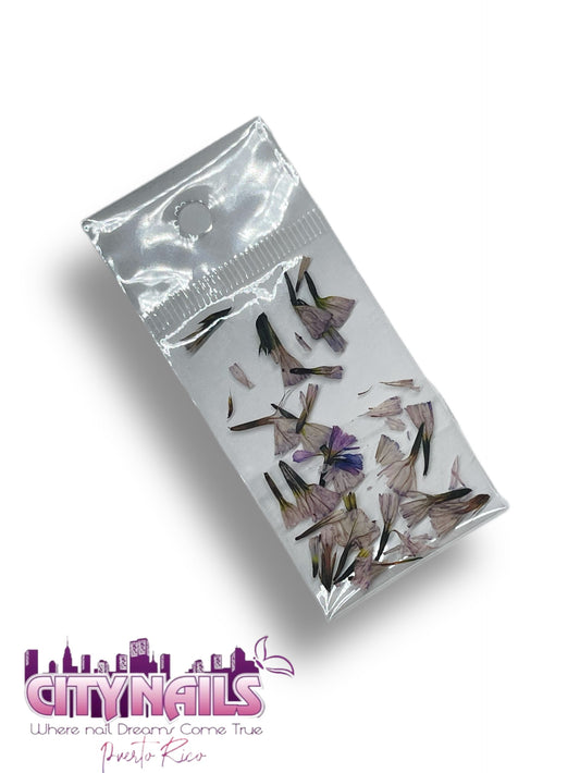 Small Dried Flowers: #2