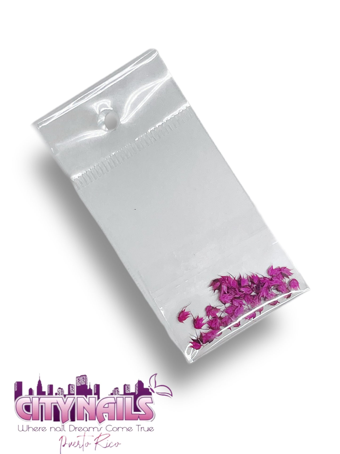 Small Dried Flowers: #20