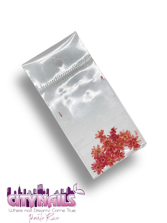 Small Dried Flowers: #21