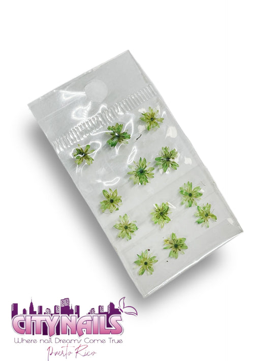 Small Dried Flowers: #22