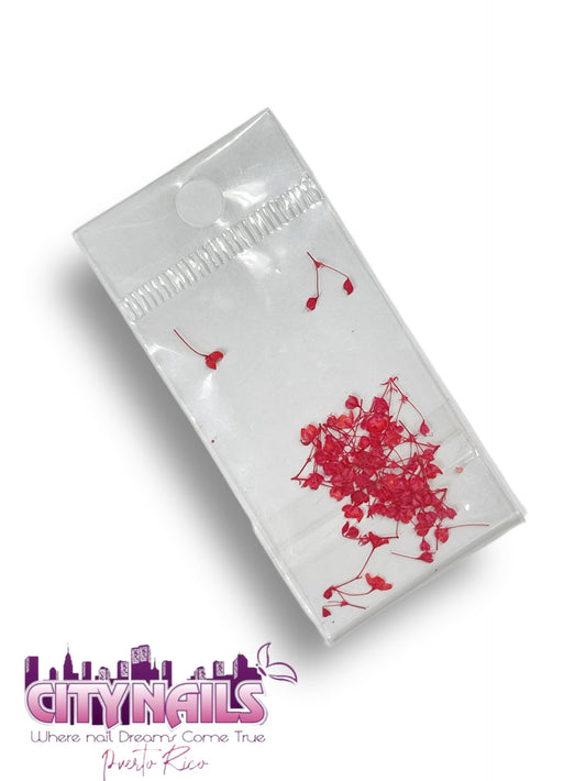 Small Dried Flowers: #23
