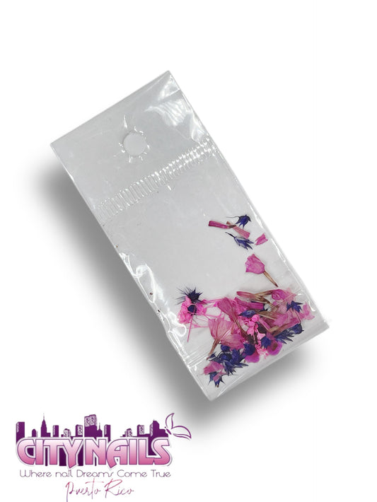 Small Dried Flowers: #24