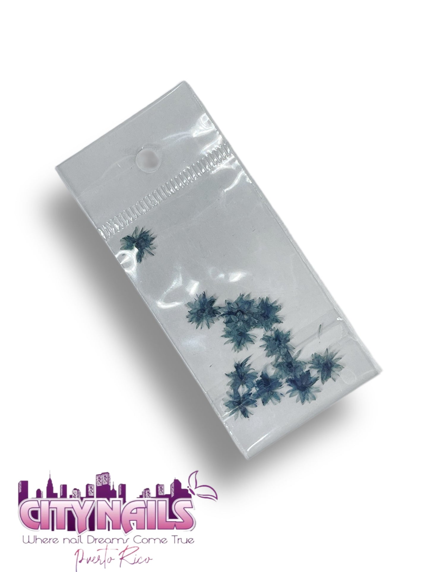 Small Dried Flowers: #25