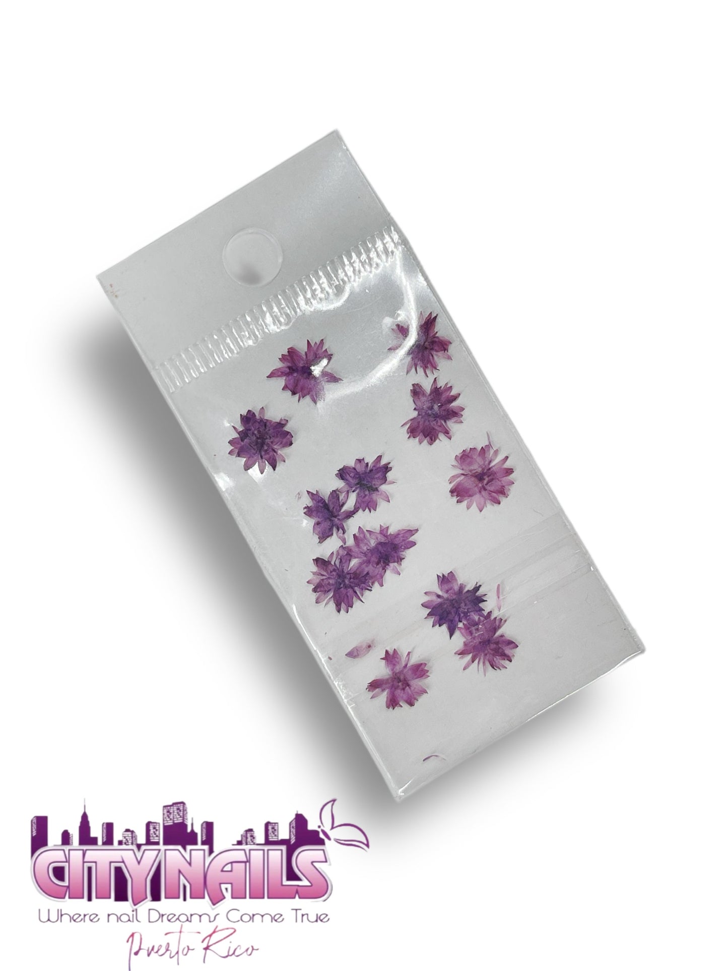 Small Dried Flowers: #28