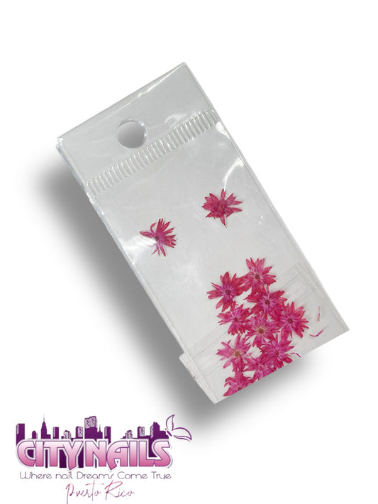 Small Dried Flowers: #29