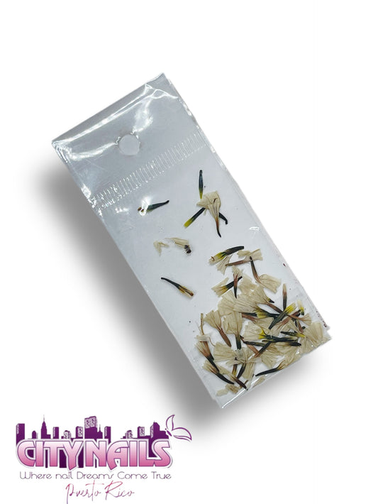 Small Dried Flowers: #3