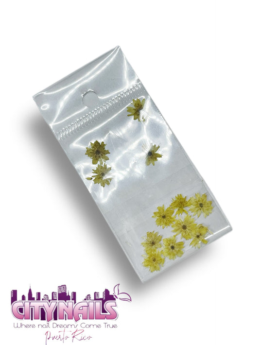 Small Dried Flowers: #30