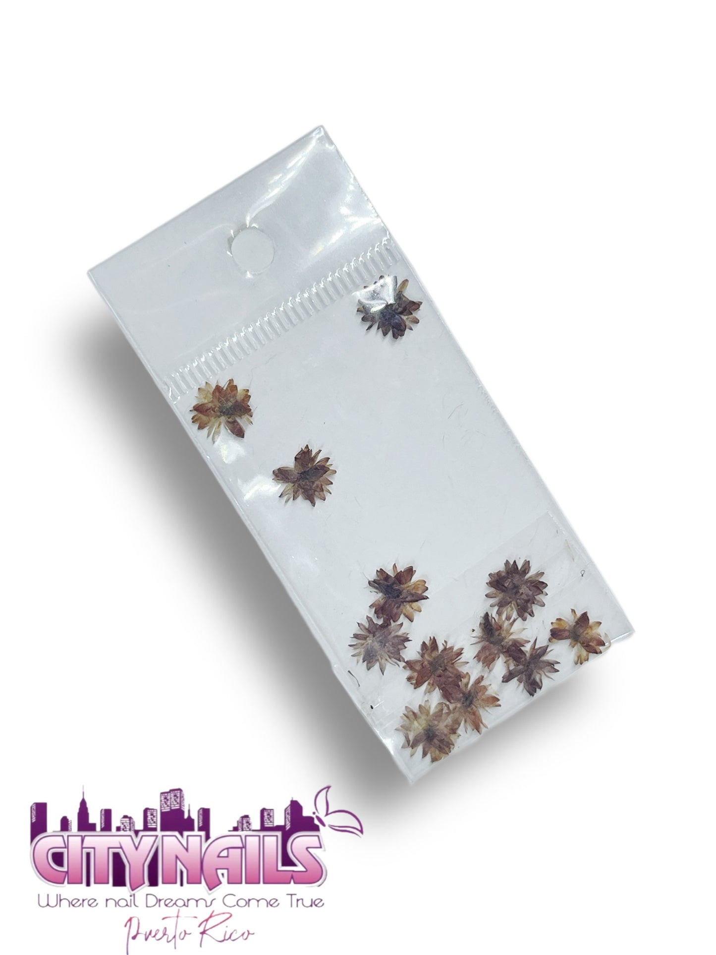 Small Dried Flowers: #32