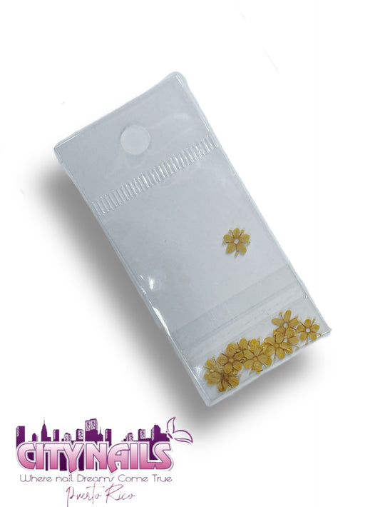 Small Dried Flowers: #34