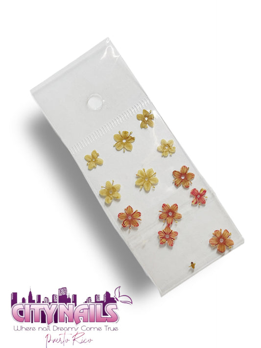Small Dried Flowers: #35