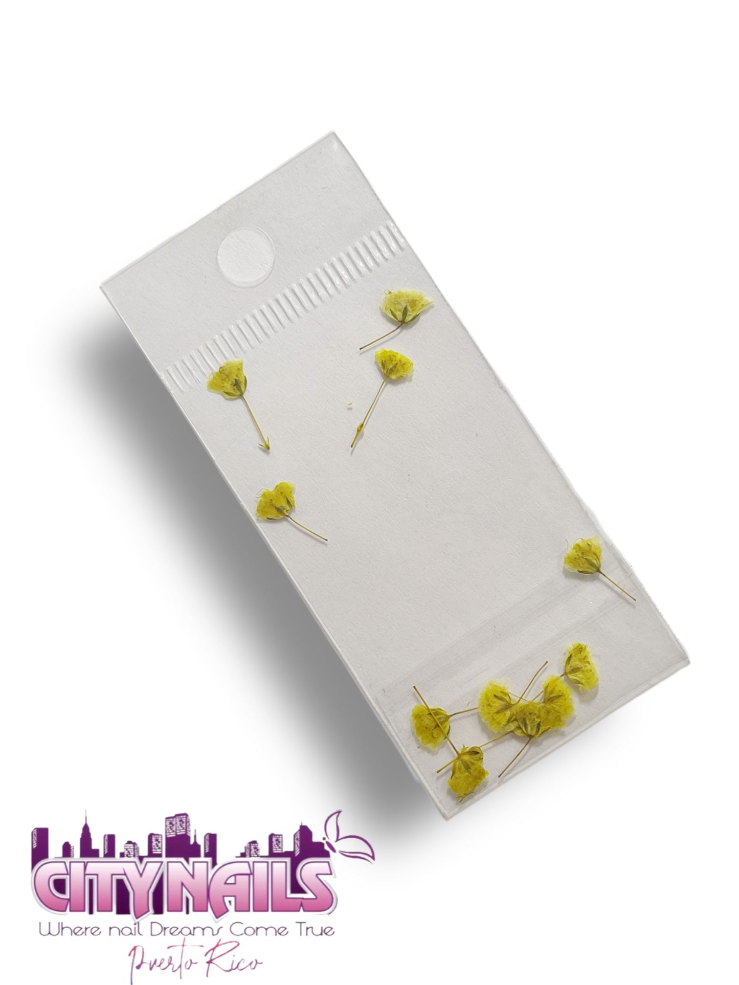 Small Dried Flowers: #36