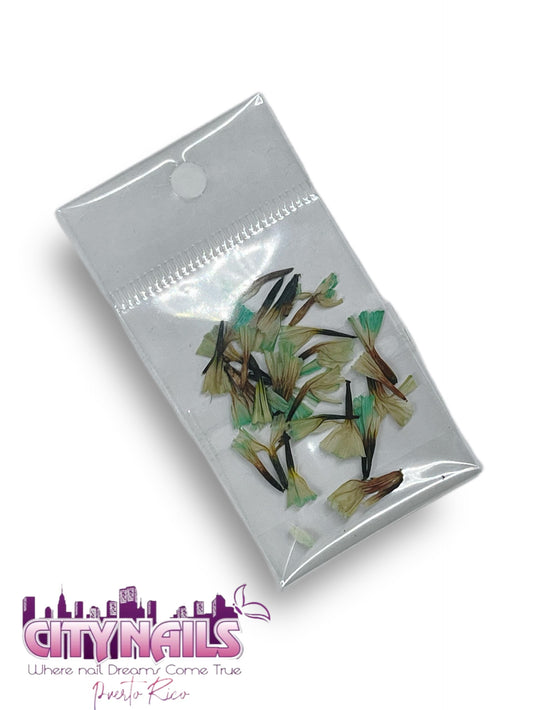 Small Dried Flowers: #4