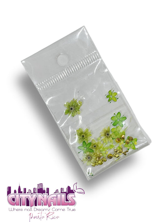 Small Dried Flowers: #42