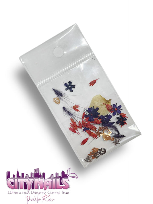 Small Dried Flowers: #48