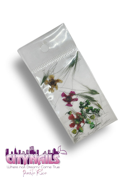 Small Dried Flowers: #49