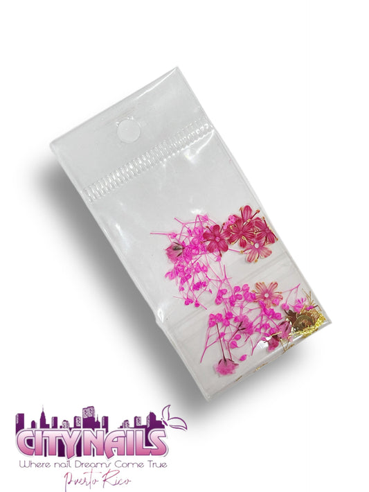 Small Dried Flowers: #50