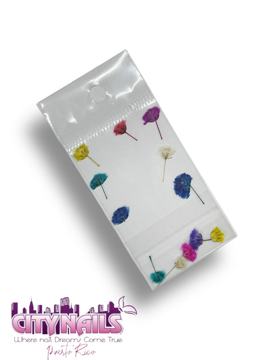 Small Dried Flowers: #51