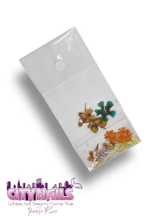 Small Dried Flowers: #54