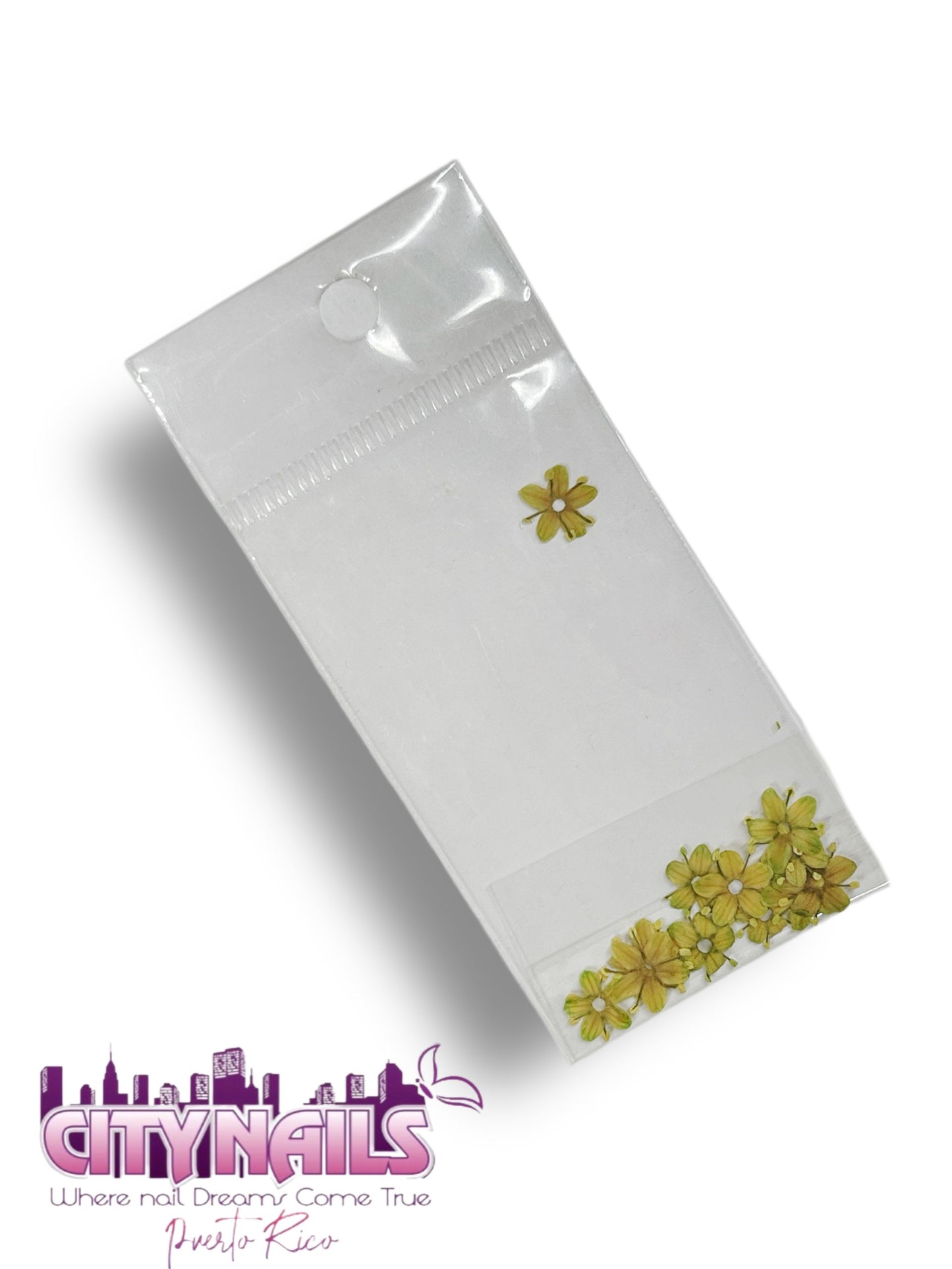 Small Dried Flowers: #55