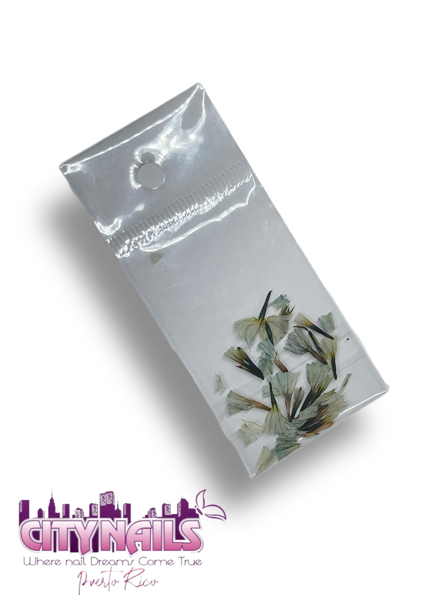 Small Dried Flowers: #6