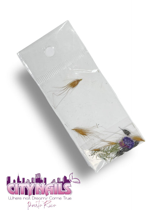 Small Dried Flowers: #61