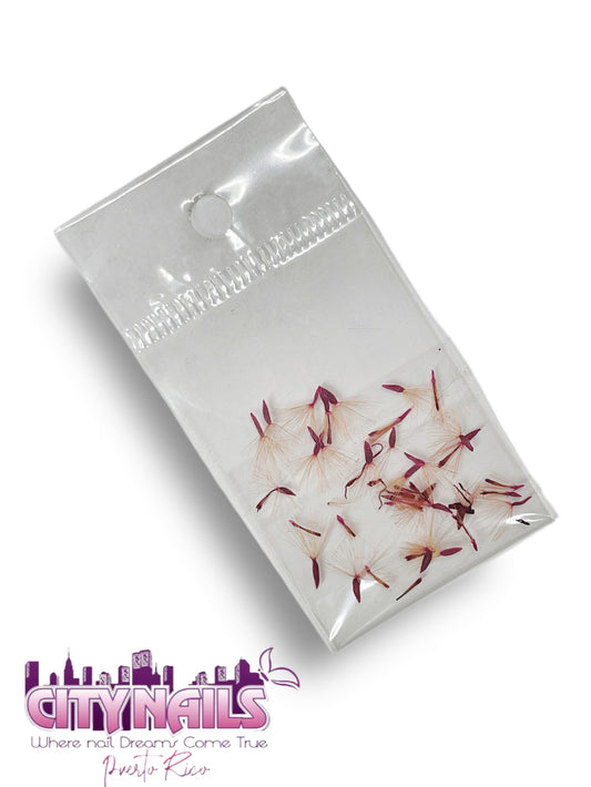 Small Dried Flowers: #62