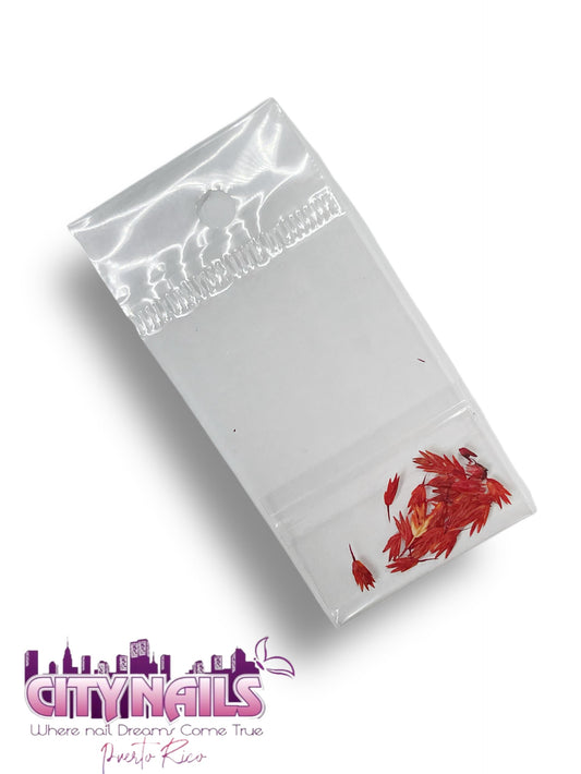 Small Dried Flowers: #63