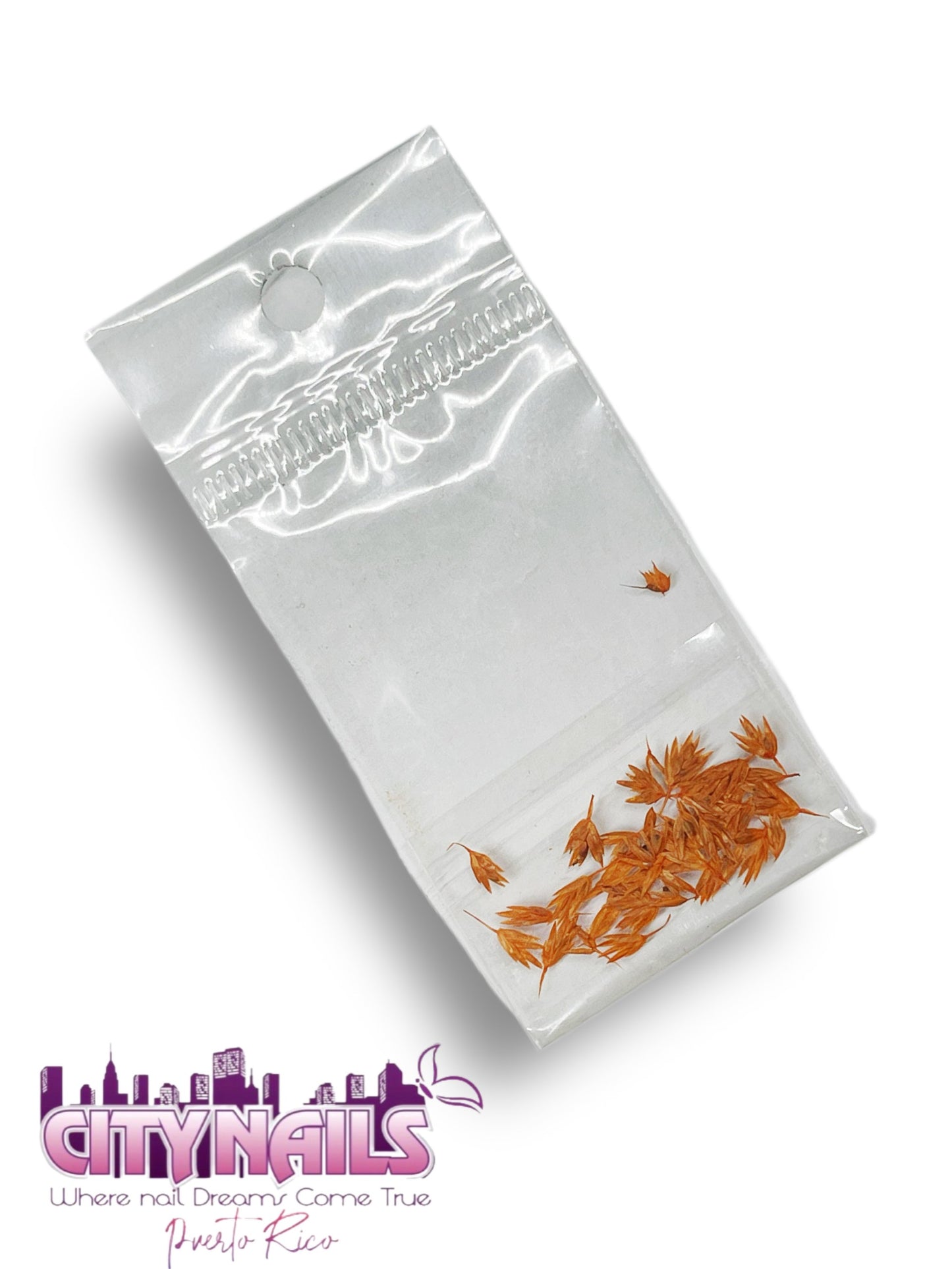 Small Dried Flowers: #65