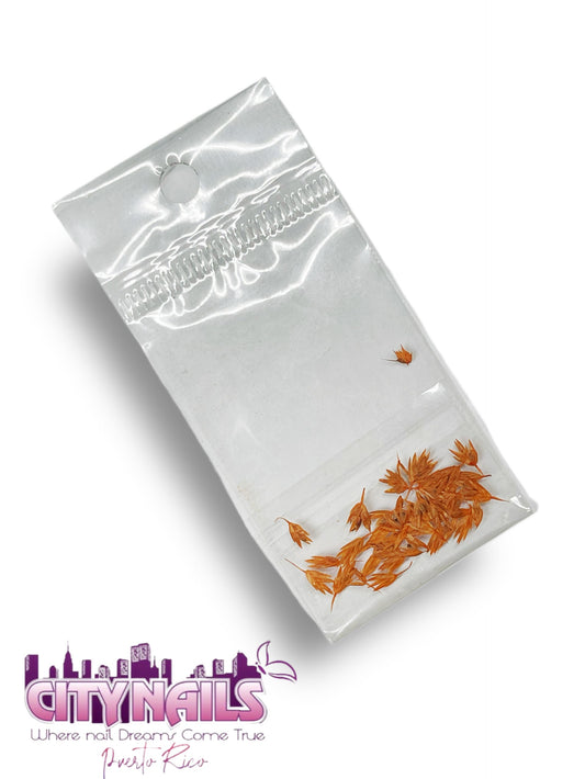 Small Dried Flowers: #65