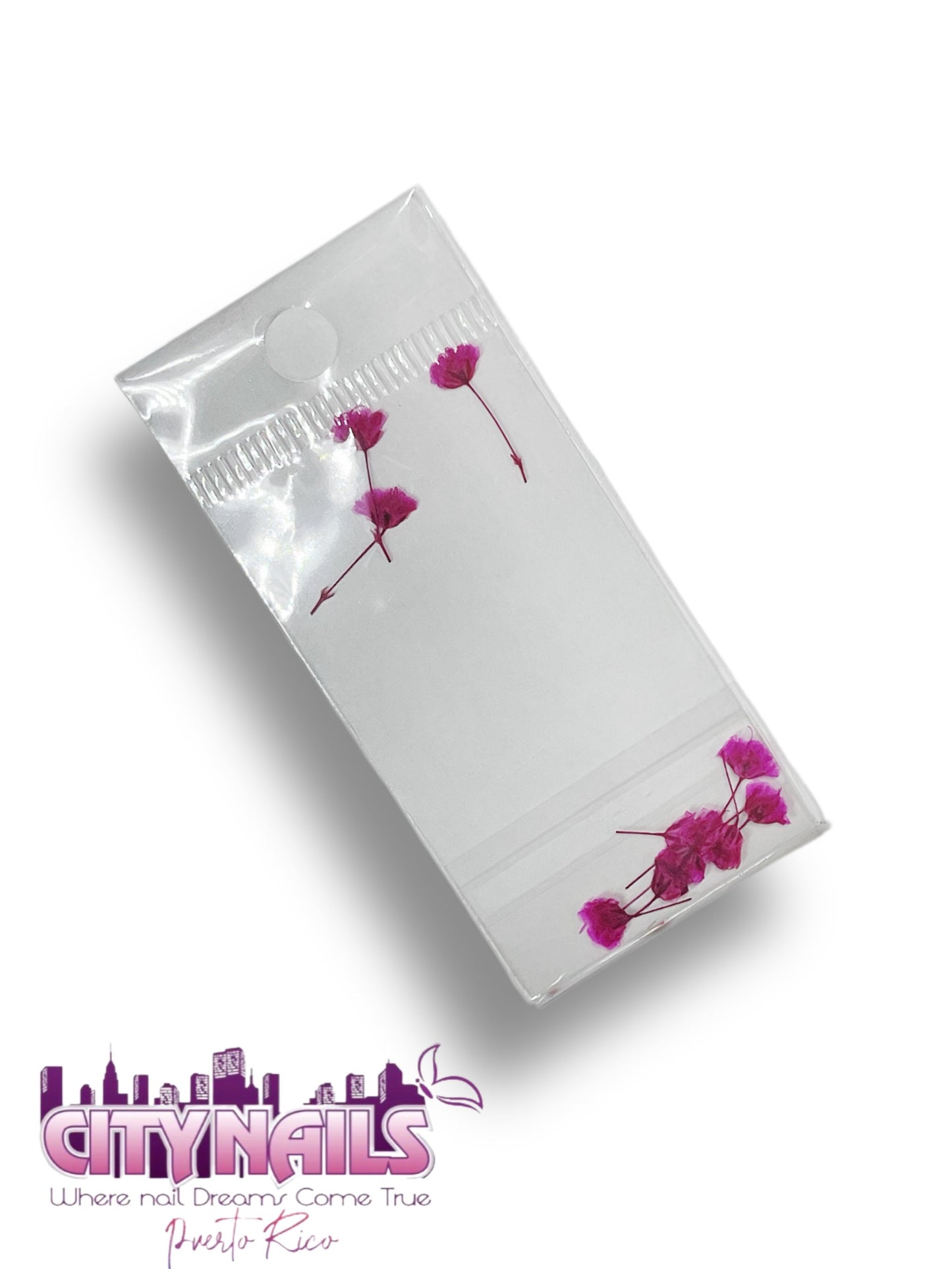 Small Dried Flowers: #67