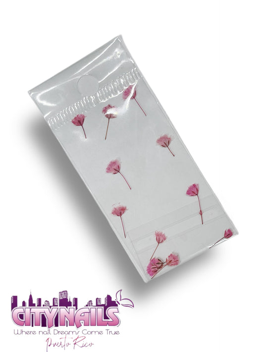 Small Dried Flowers: #68