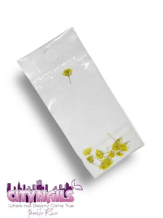 Small Dried Flowers: #69