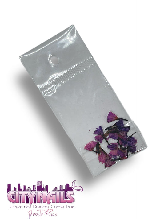 Small Dried Flowers: #7