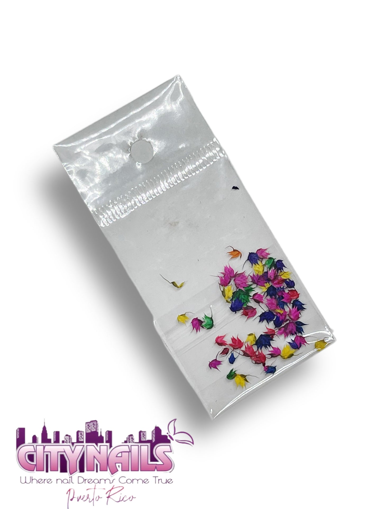 Small Dried Flowers: #9