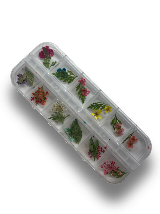 Boxed Decorations: Dried Flowers