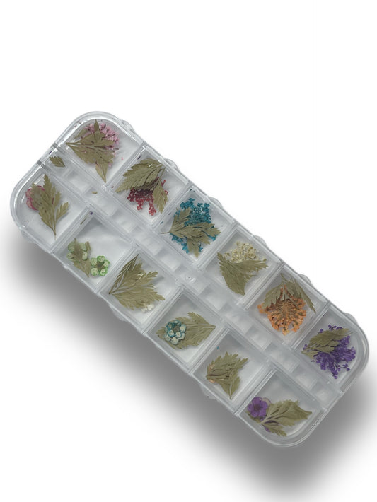 Boxed Decorations: Dried Flowers & Leaves