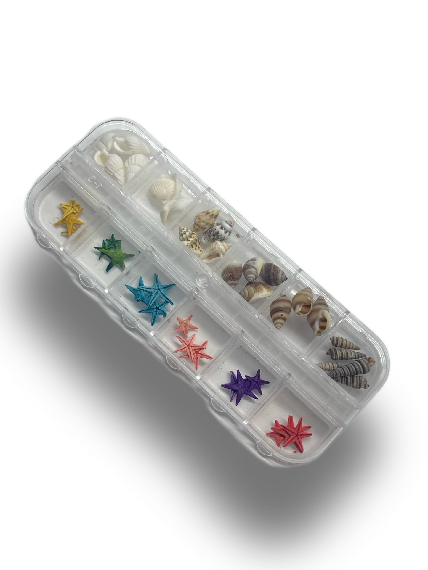 Boxed Decorations: Starfish & Seashells